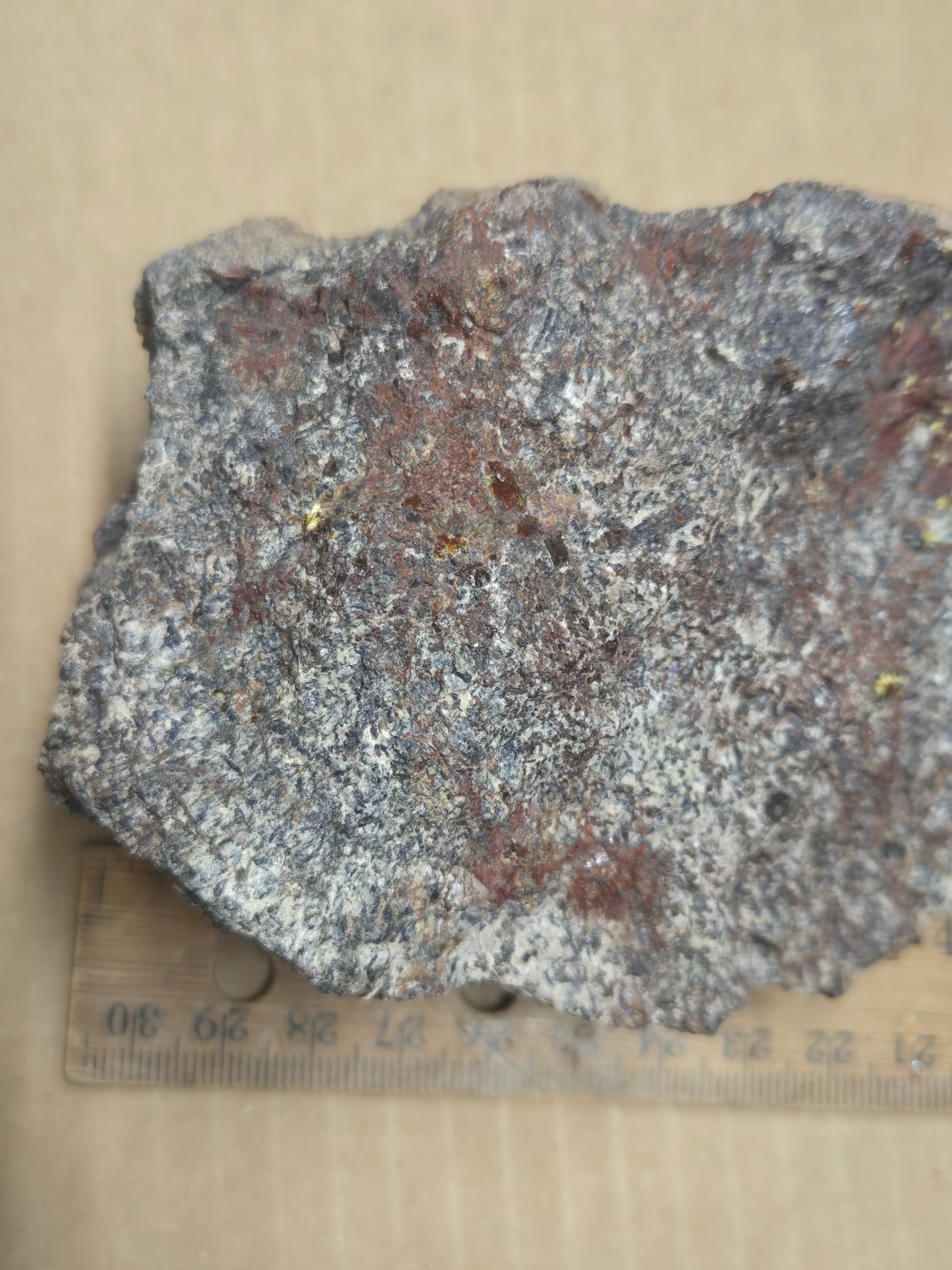 Thorite thorogummite autunite
