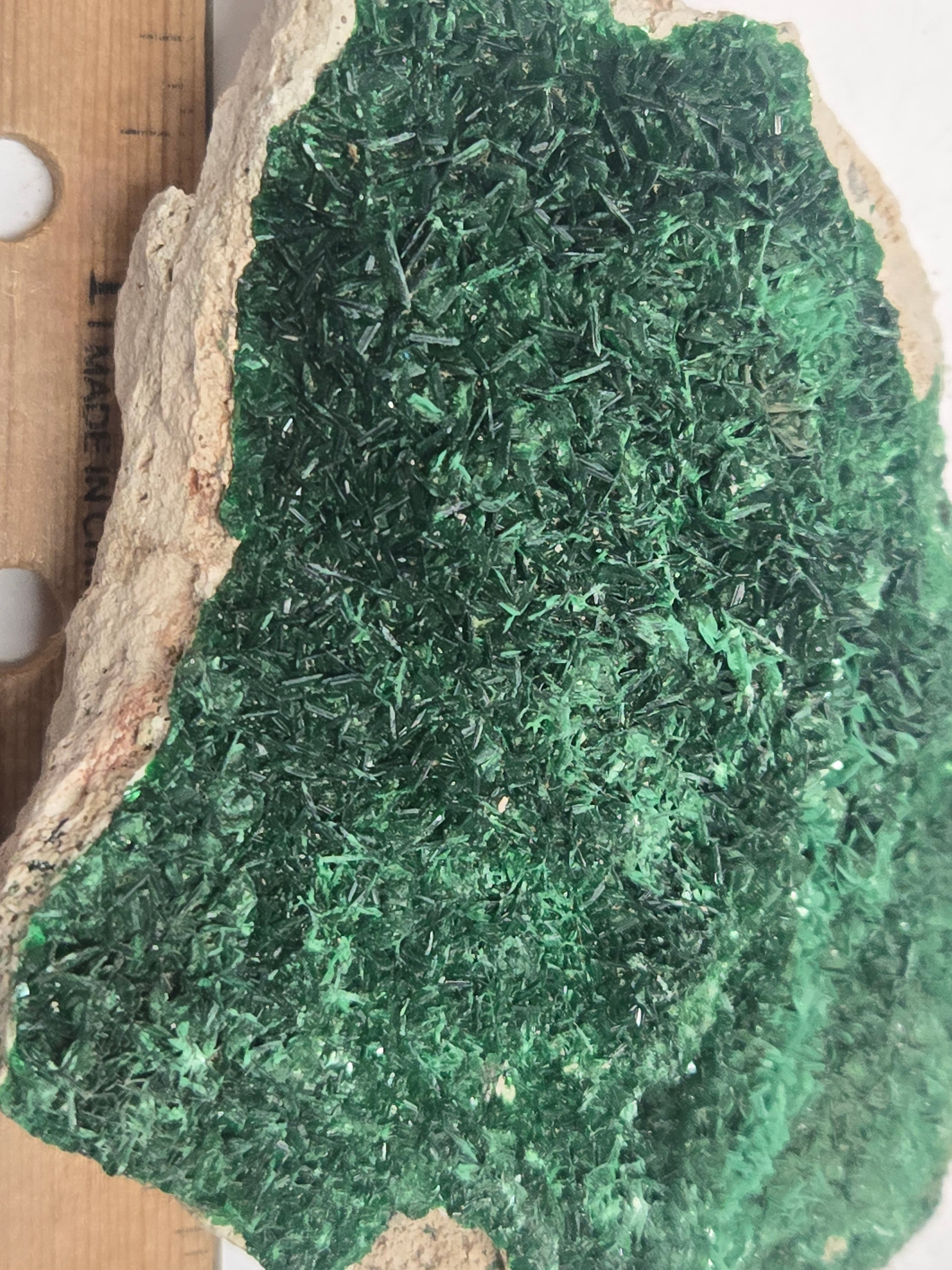 Torbernite cabinet specimen