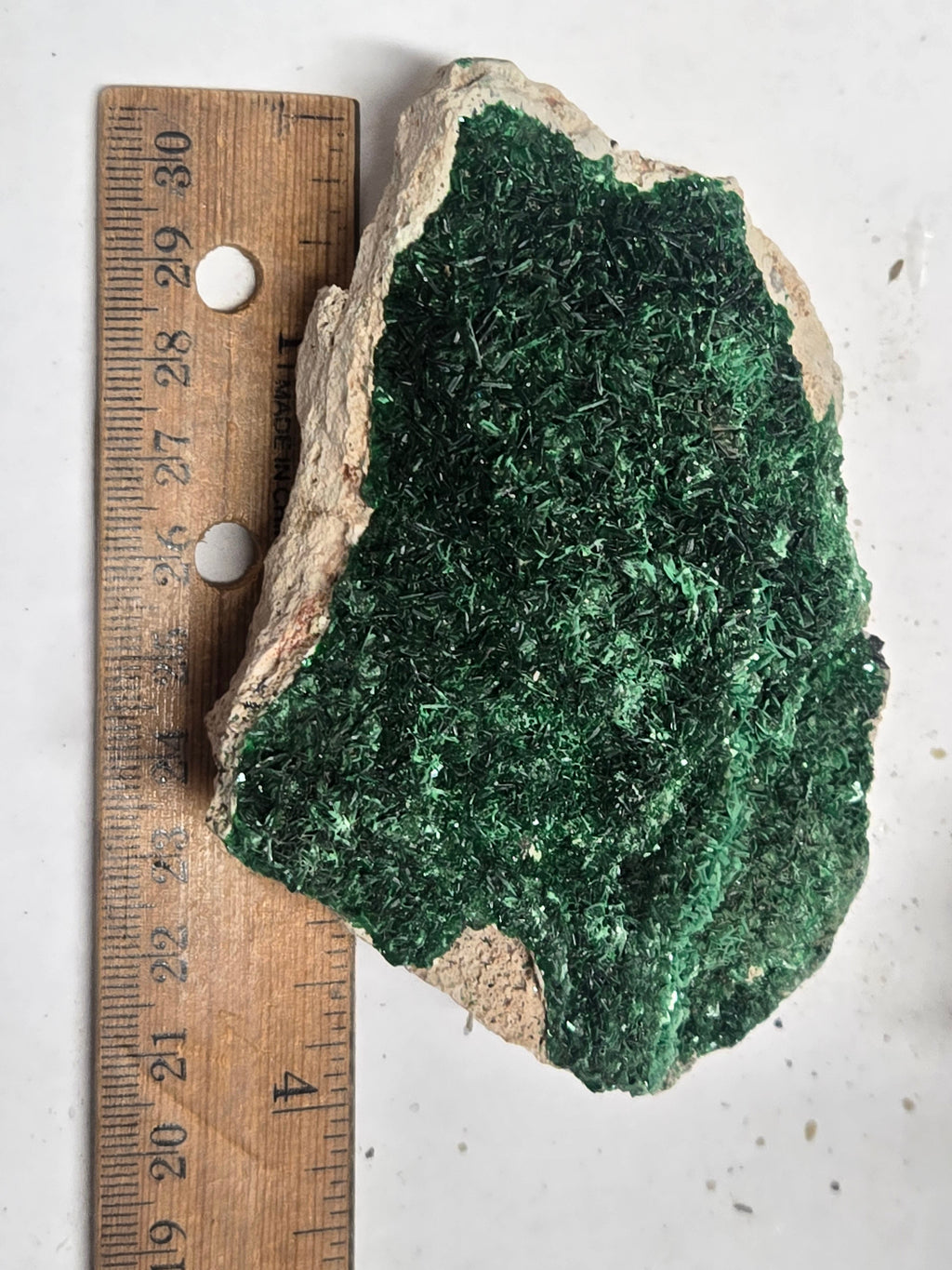 Torbernite cabinet specimen