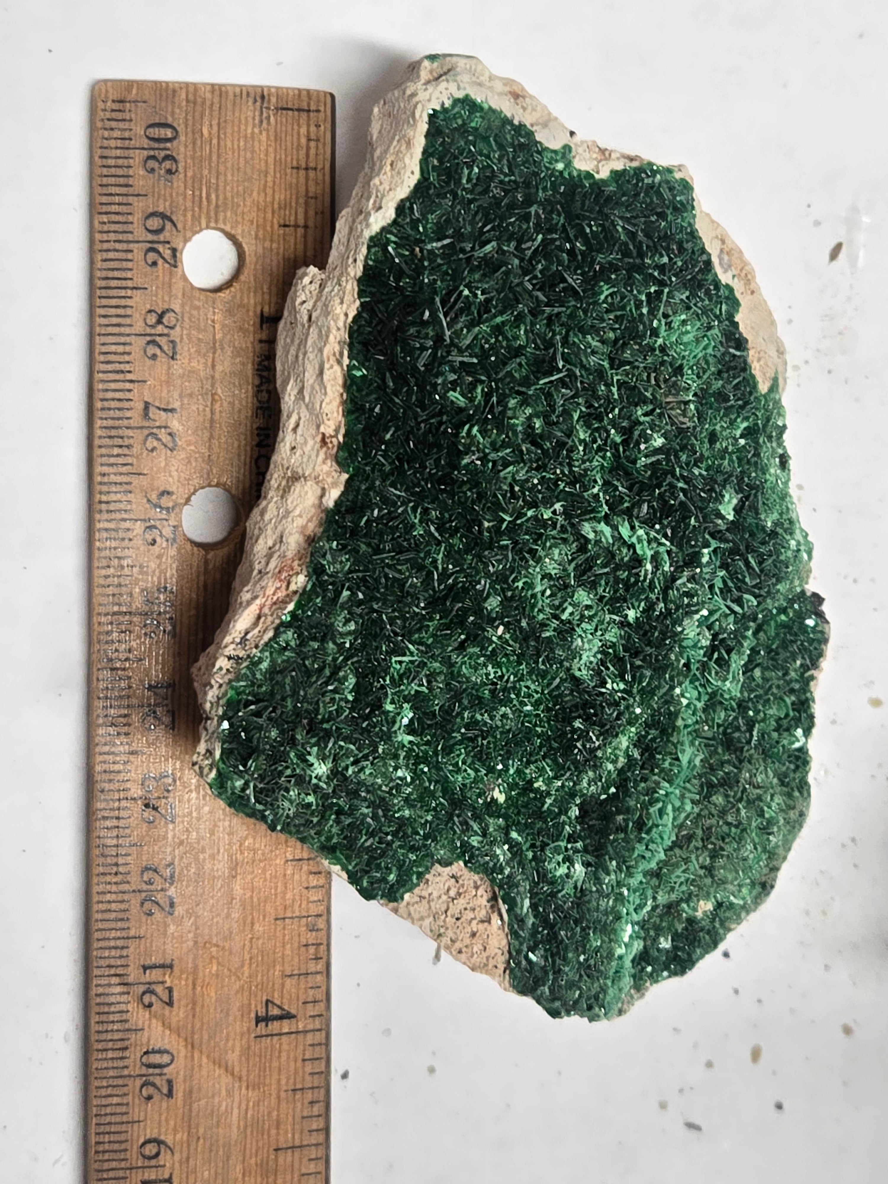 Torbernite cabinet specimen