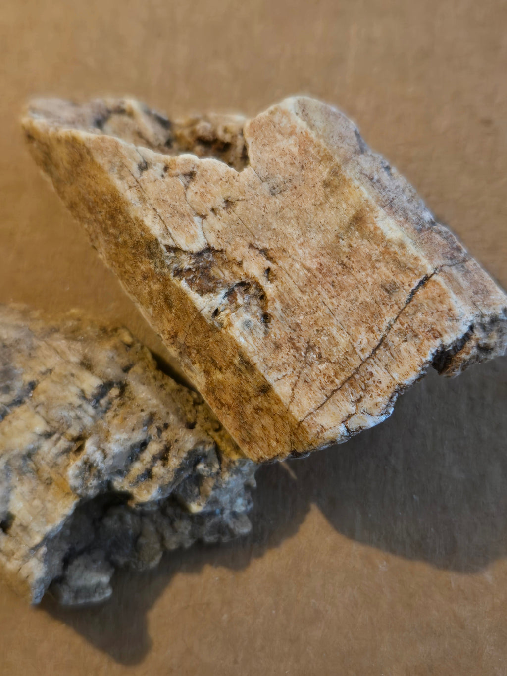 Tremolite after diopside