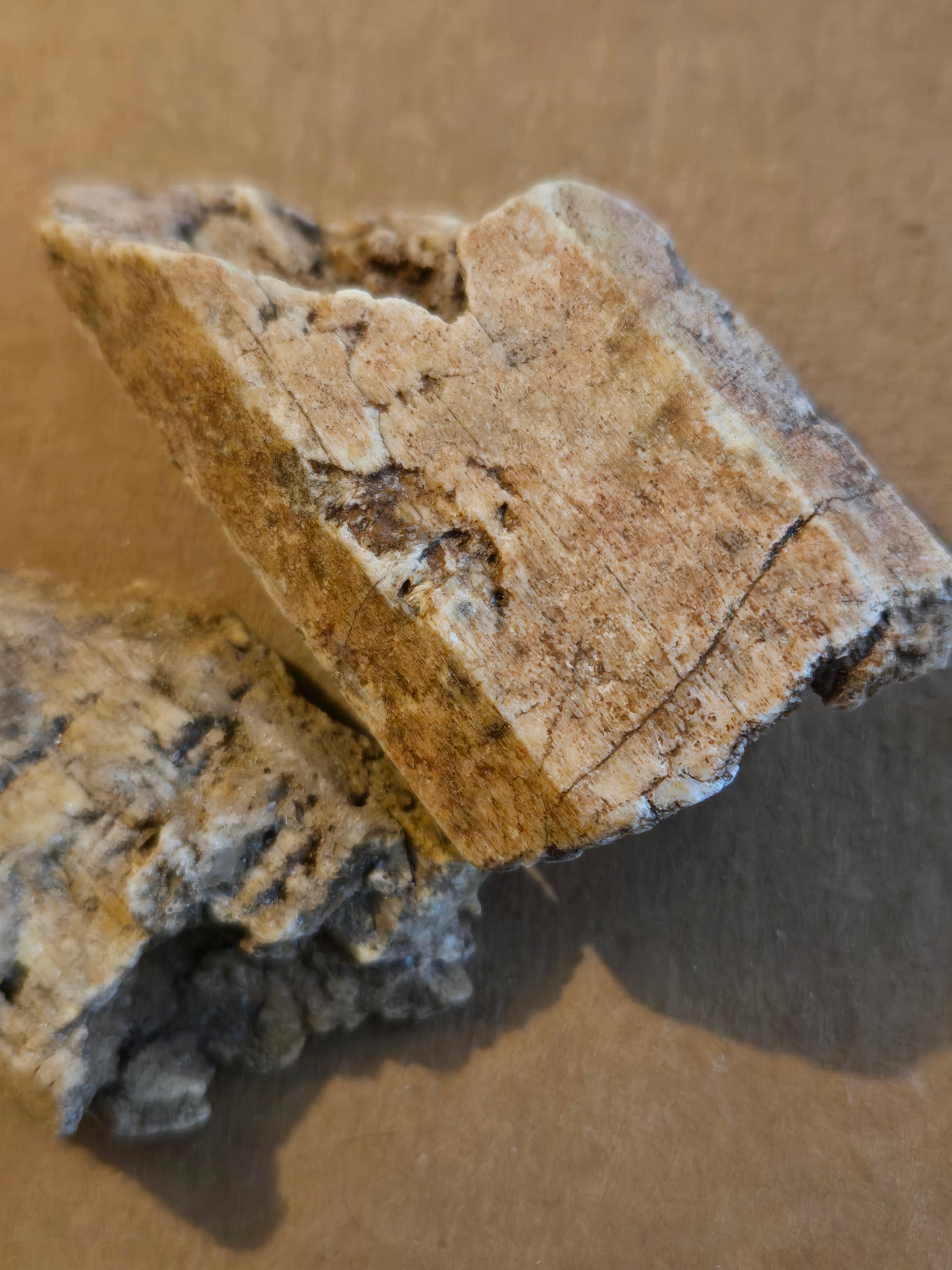 Tremolite after diopside