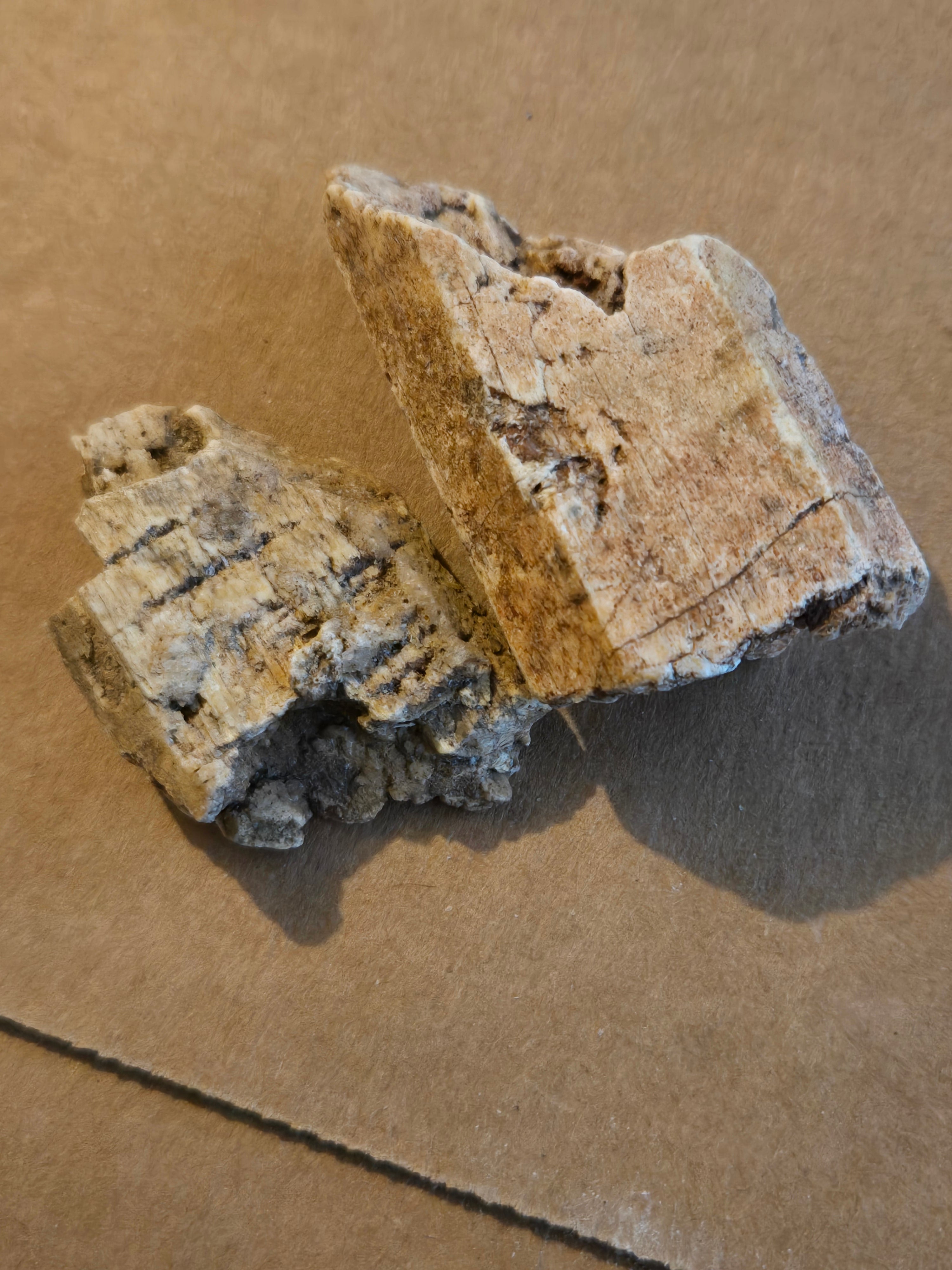 Tremolite after diopside