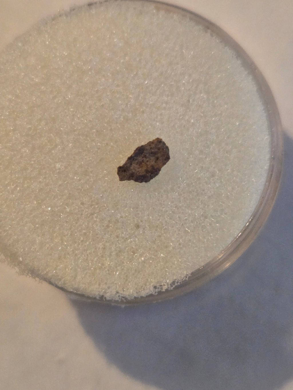 Trilby Wash meteorite specimen