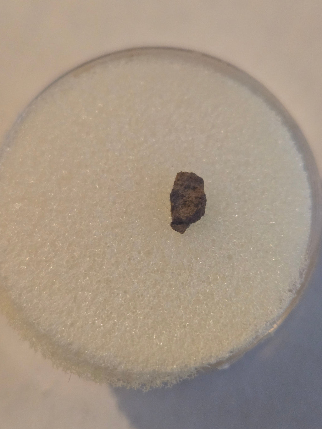 Trilby Wash meteorite specimen