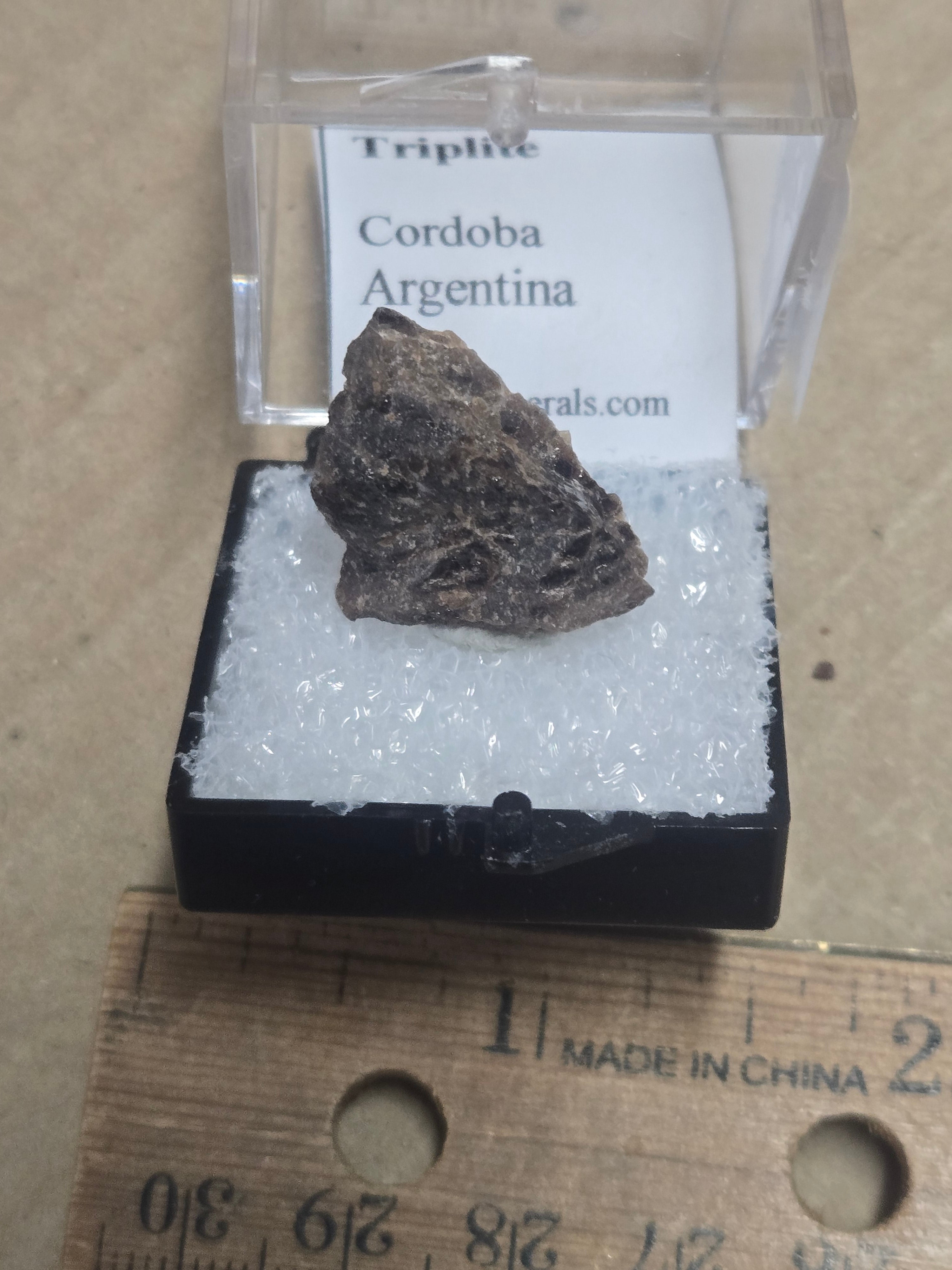 Triplite