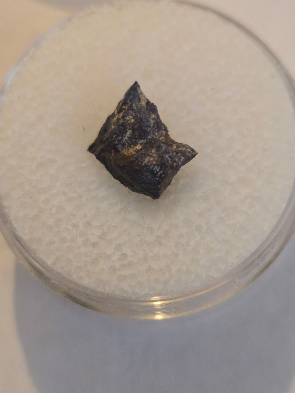 Tungsten Mountain meteorite specimen