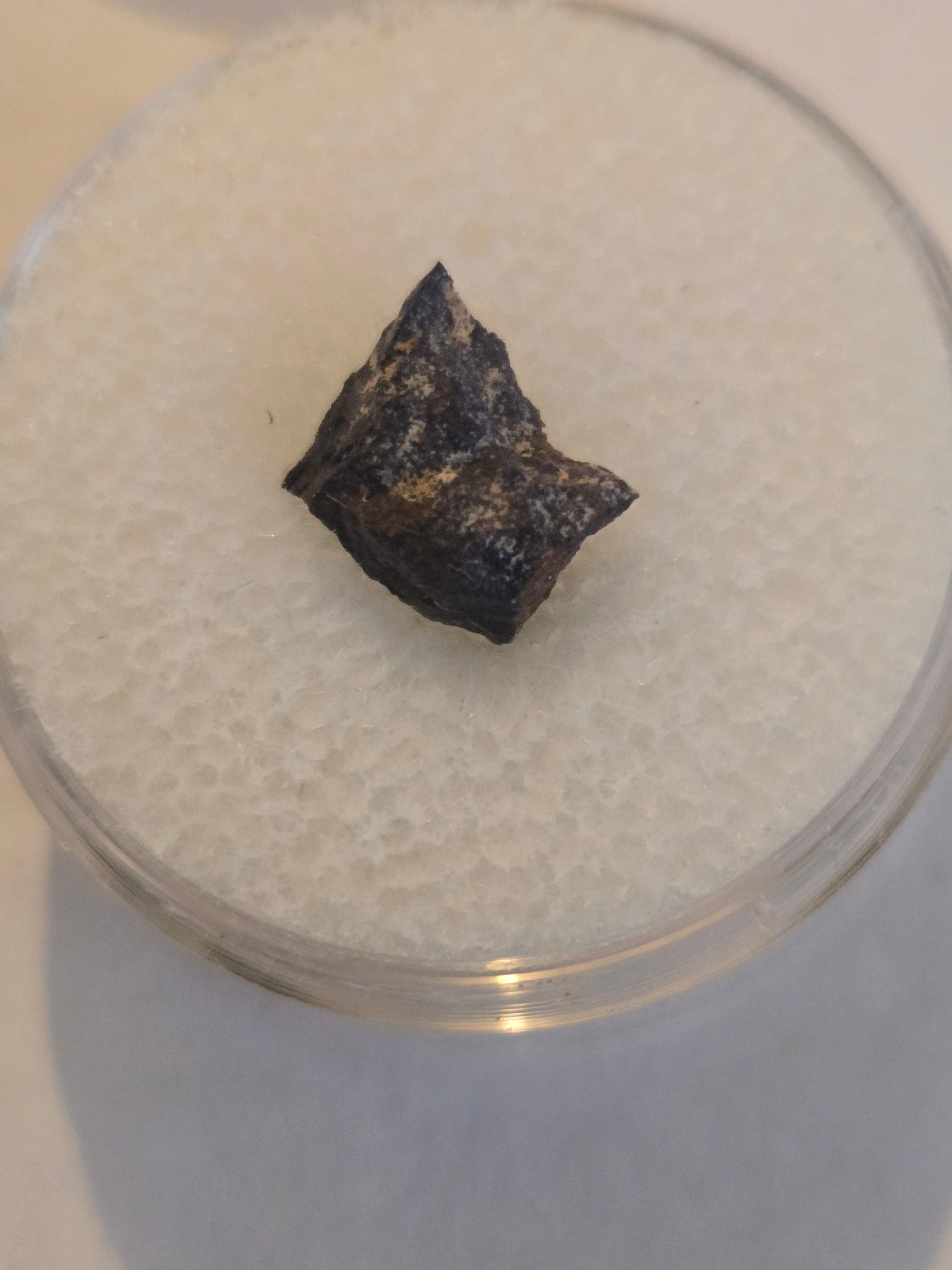 Tungsten Mountain meteorite specimen