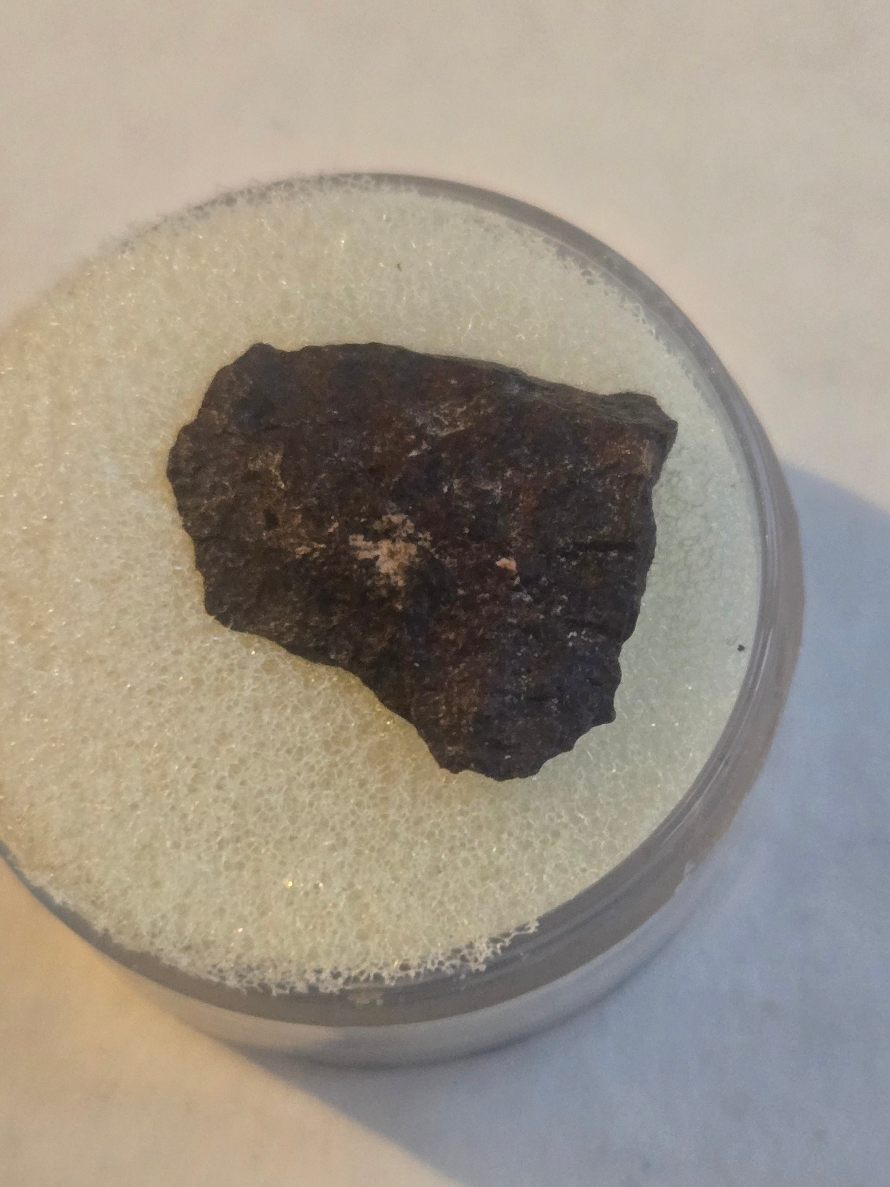 Tungsten Mountain meteorite specimen