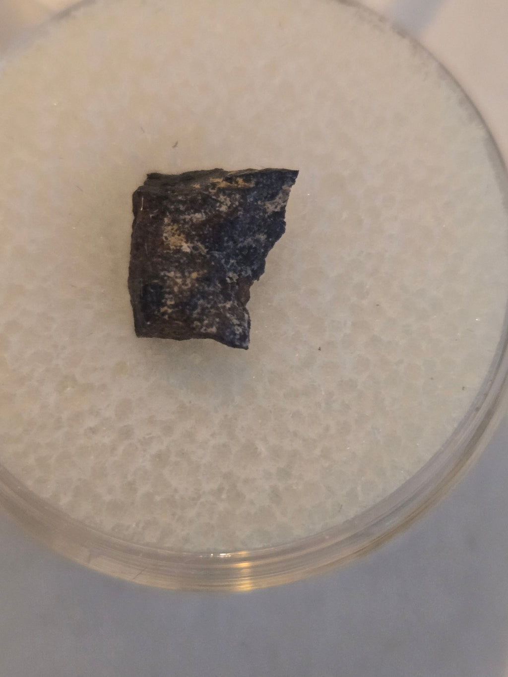 Tungsten Mountain meteorite specimen