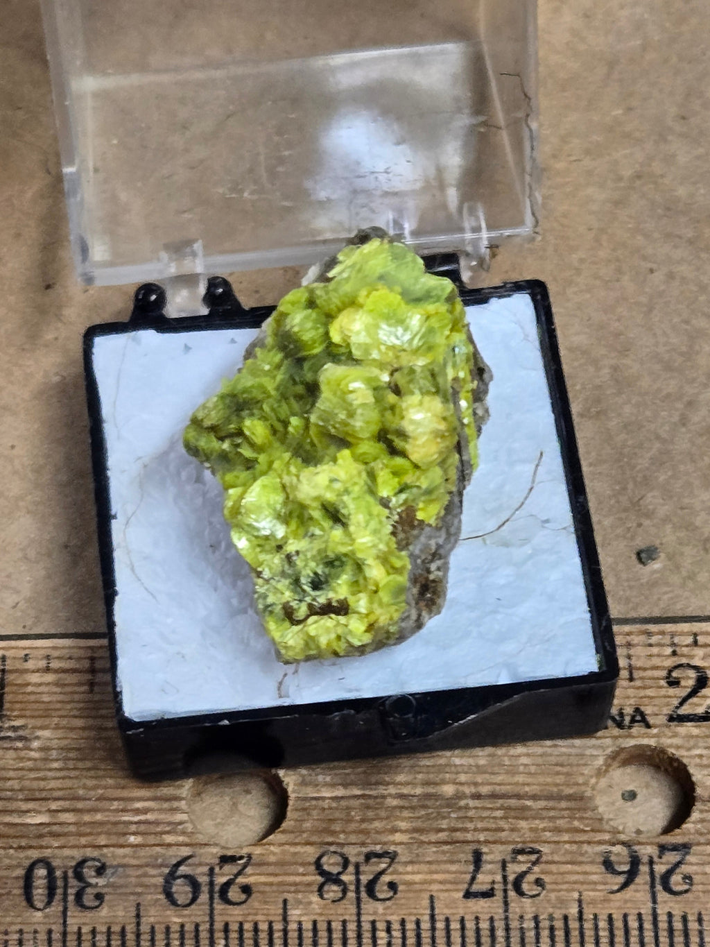 Uranocircite
