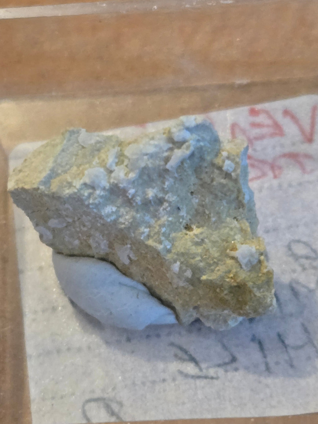 Vendidaite
