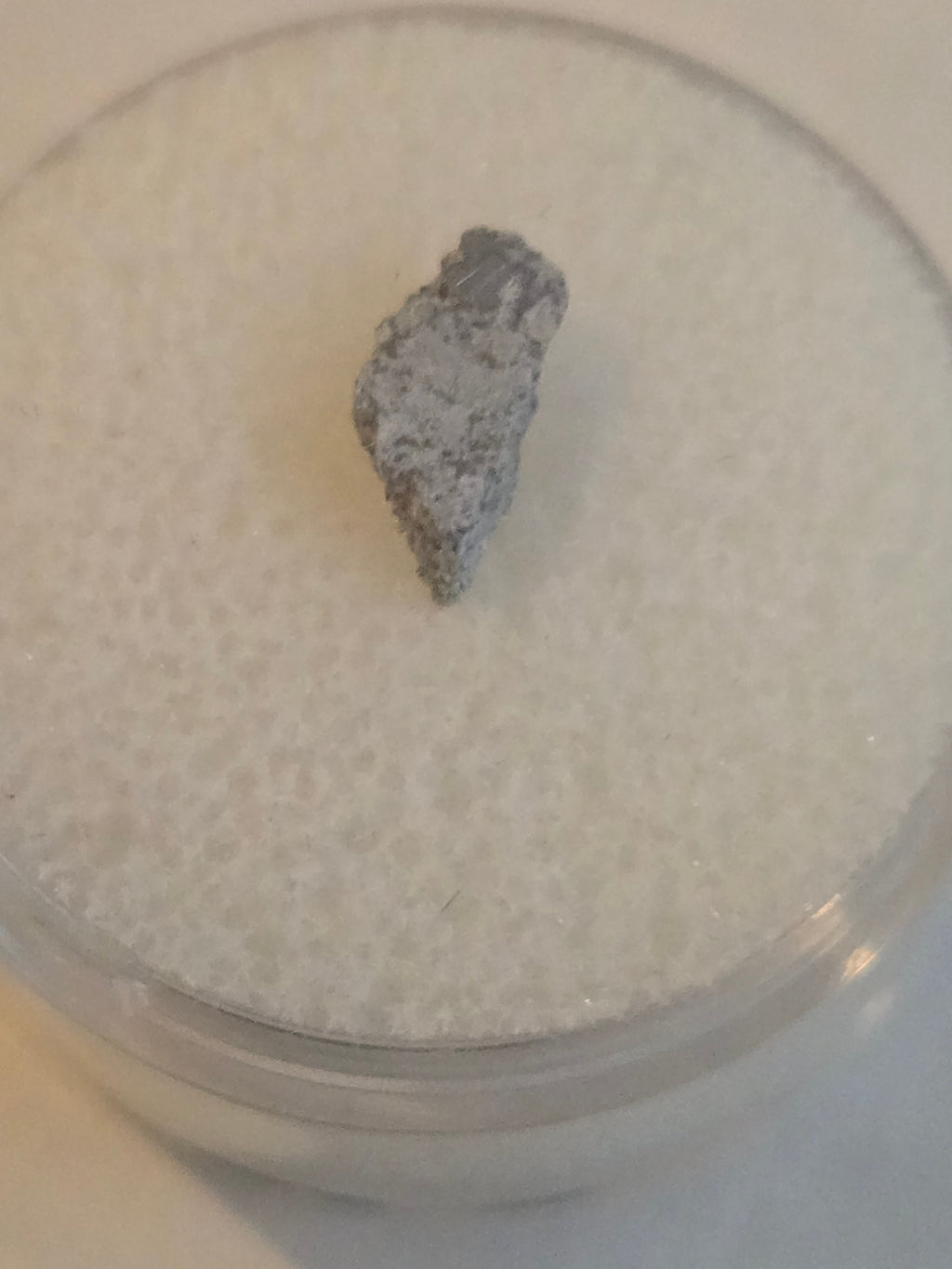 Vinales Meteorite Specimen