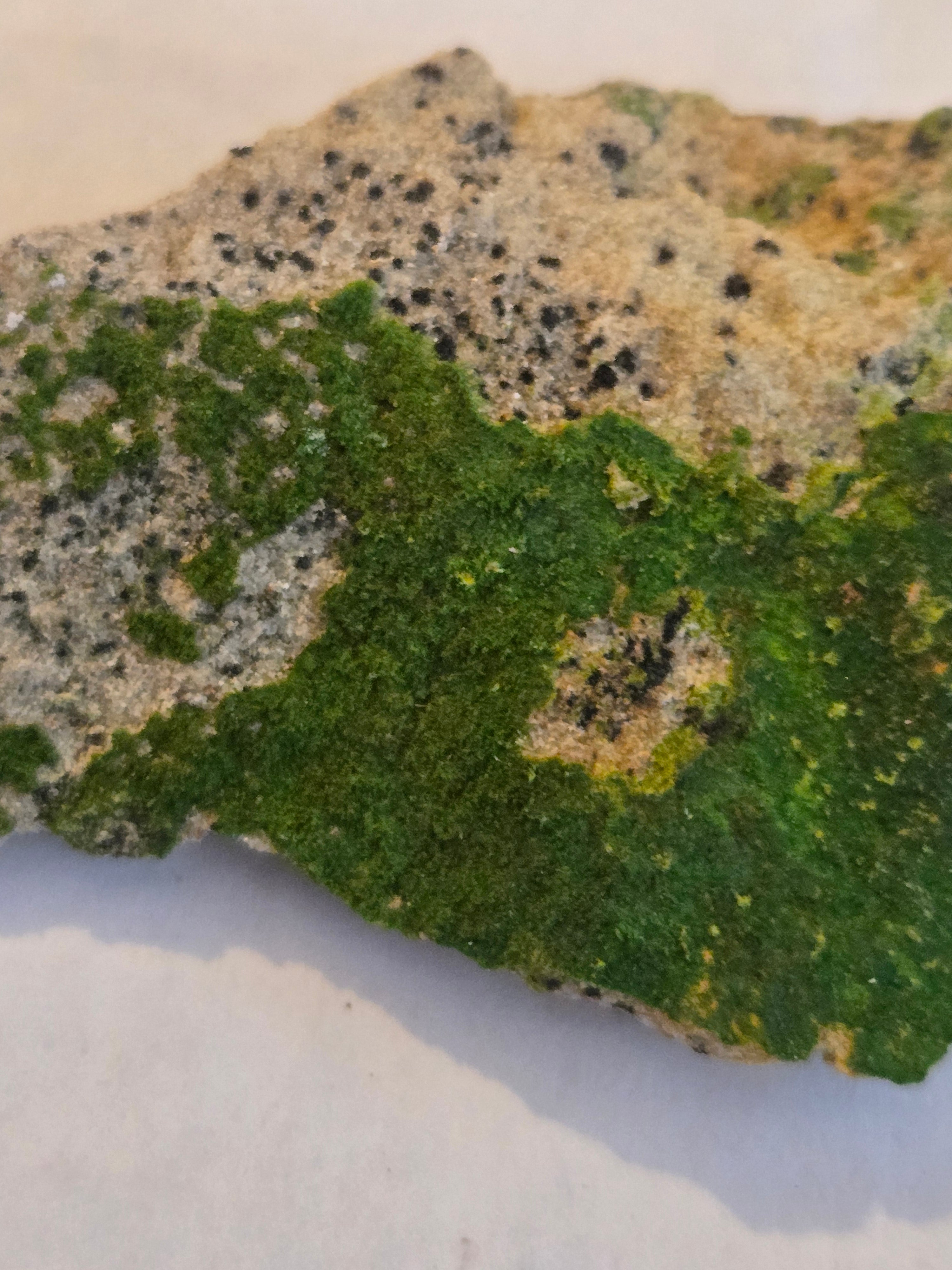 Volborthite
