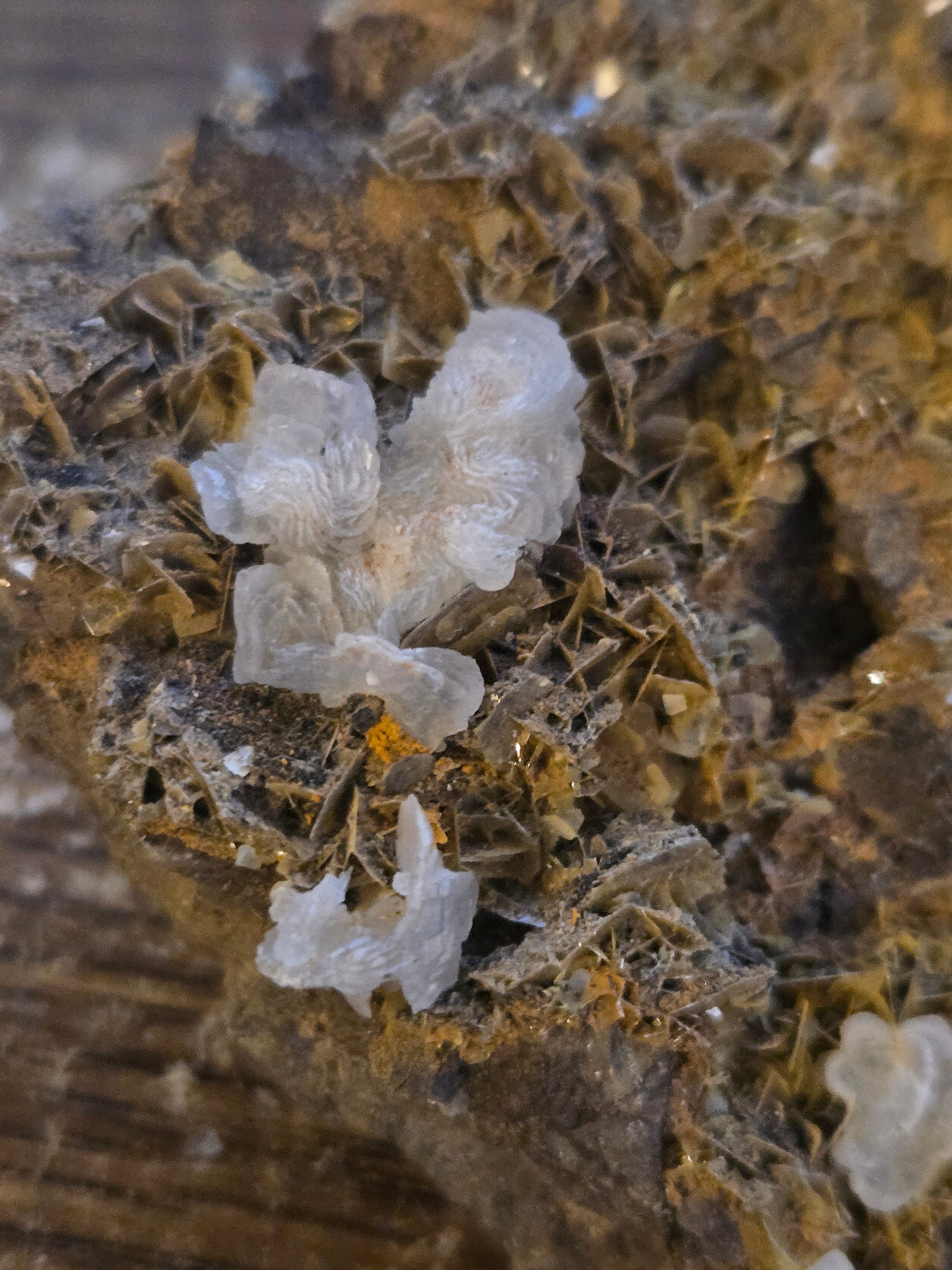 Wulfenite calcite